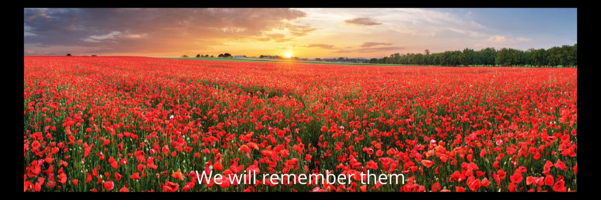 We will remember them Field of Poppies - SEP's security team will remember them